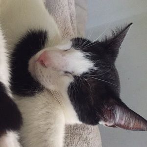 Meet your Posher, Faith